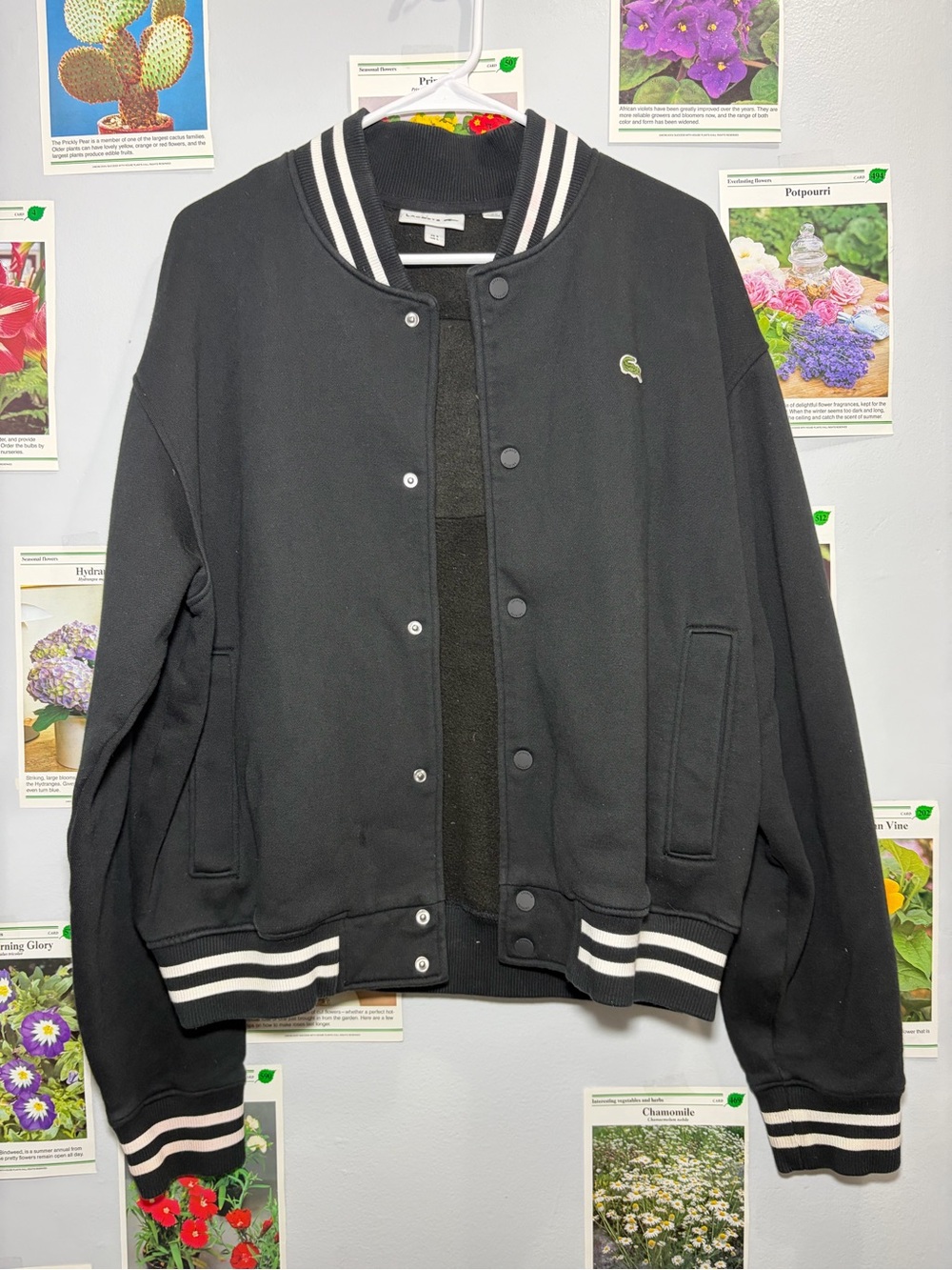 Lacoste Black Bomber Jacket with White Stripe Trim